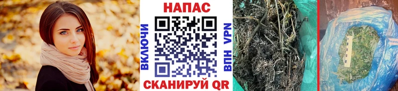 Каннабис планчик  Кунгур 
